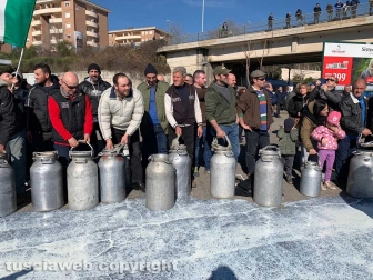 Viterbo - La protesta dei pastori sul prezzo del latte