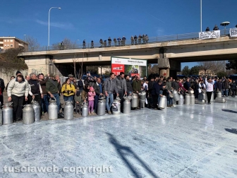 Viterbo - La protesta dei pastori sul prezzo del latte
