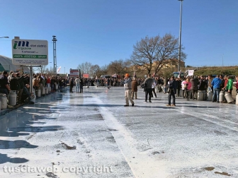 Viterbo - La protesta dei pastori sul prezzo del latte