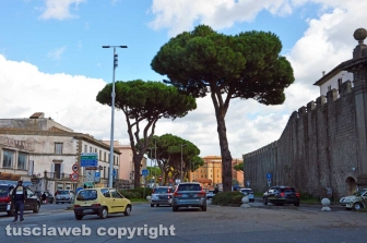 I pini di piazzale Gramsci