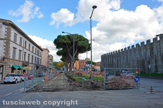 I pini di piazzale Gramsci