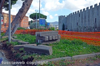 I pini di piazzale Gramsci