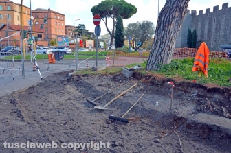 I pini di piazzale Gramsci