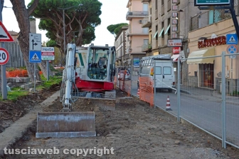 I pini di piazzale Gramsci