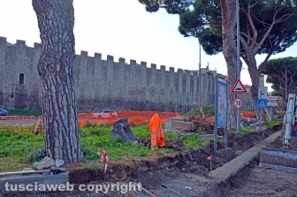 I pini di piazzale Gramsci