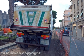 I pini di piazzale Gramsci