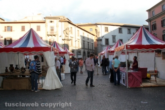 I pirati della bellezza