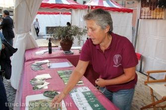 I pirati della bellezza