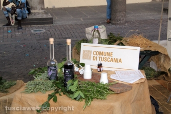 I pirati della bellezza