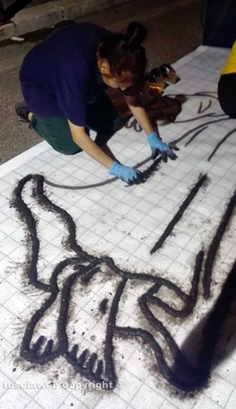 I preparativi per l'Infiorata del Corpus Domini