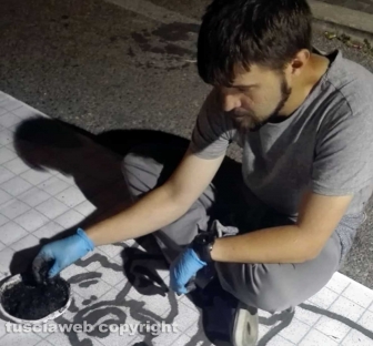 I preparativi per l'Infiorata del Corpus Domini