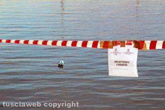 I sigilli al porto di Marta