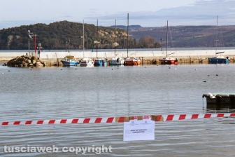 I sigilli al porto di Marta