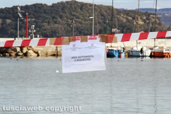 I sigilli al porto di Marta
