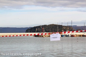 I sigilli al porto di Marta