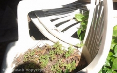 I tesori degli Etruschi