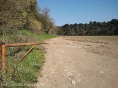 I tesori degli Etruschi