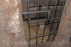 I tesori della Viterbo sottorrenea