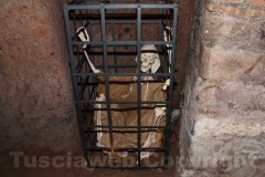 I tesori della Viterbo sottorrenea