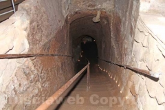 I tesori della Viterbo sottorrenea