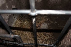 I tesori della Viterbo sottorrenea