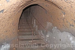 I tesori della Viterbo sottorrenea