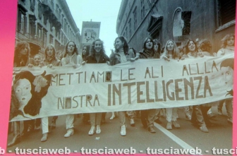 I vent'anni di Erinna