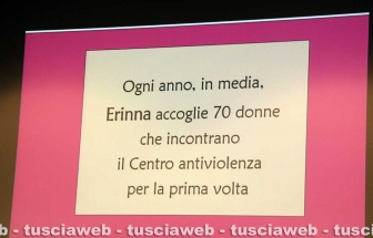 I vent'anni di Erinna