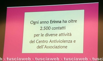 I vent'anni di Erinna