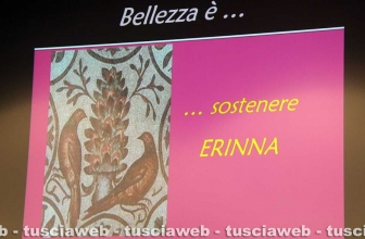 I vent'anni di Erinna