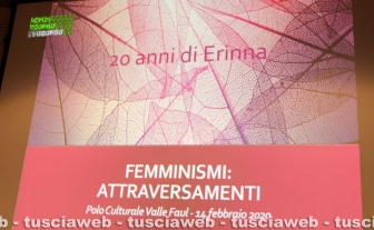 I vent'anni di Erinna