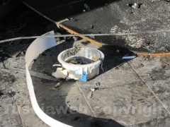 I vigili del fuoco tra le macerie