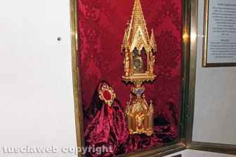 Viterbo - I vinaccioli trovati nel corpo di S. Rosa