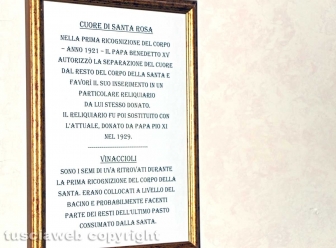 Viterbo - I vinaccioli trovati nel corpo di S. Rosa
