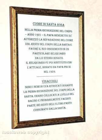 Viterbo - I vinaccioli trovati nel corpo di S. Rosa