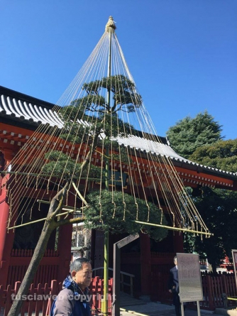 Sport - I Viterbo Runners alla maratona di Tokyo