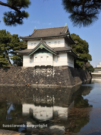 Sport - I Viterbo Runners alla maratona di Tokyo