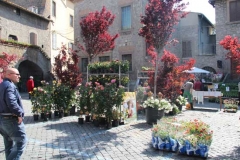 I volti di San Pellegrino in fiore