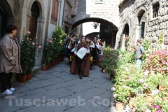 I volti di San Pellegrino in fiore