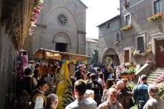 I volti di San Pellegrino in fiore