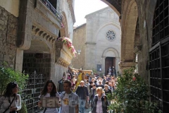 I volti di San Pellegrino in fiore