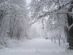 La neve sui Cimini - Massimiliano Capo