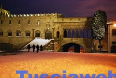 Neve a Palazzo papale - Annalisa Romaldo