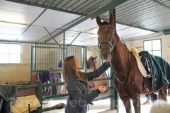 La benedizione degli animali