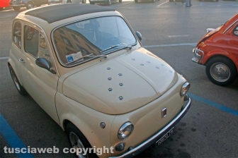 Il 22esimo raduno di Fiat 500