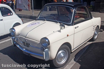 Il 22esimo raduno di Fiat 500
