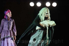 La Bella addormentata del Balletto del Sud