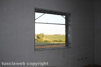 Il campo delle rose