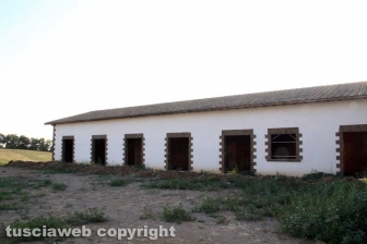 Il campo delle rose