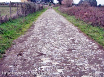 Il campo di concentramento